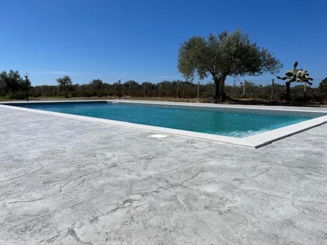 Bed and breakfast L'uliveto & Pool *