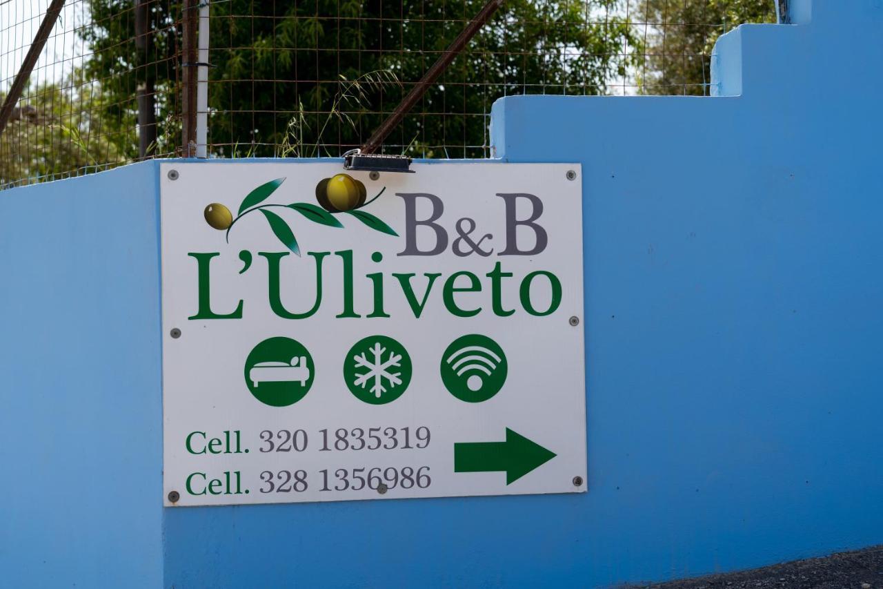 L'uliveto & Pool Alojamento de Acomodação e Pequeno-almoço