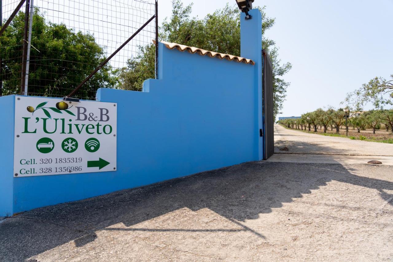 L'uliveto & Pool *